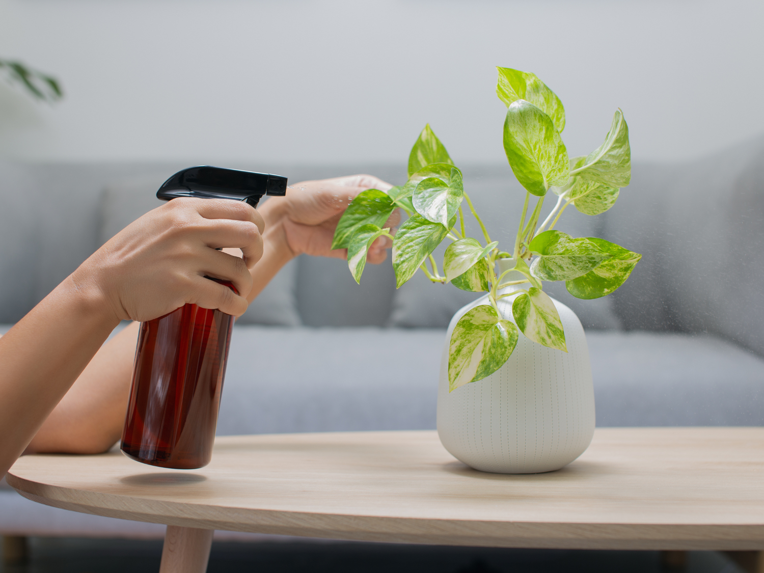 Foliar Feeding: The Environmentally Friendly Choice