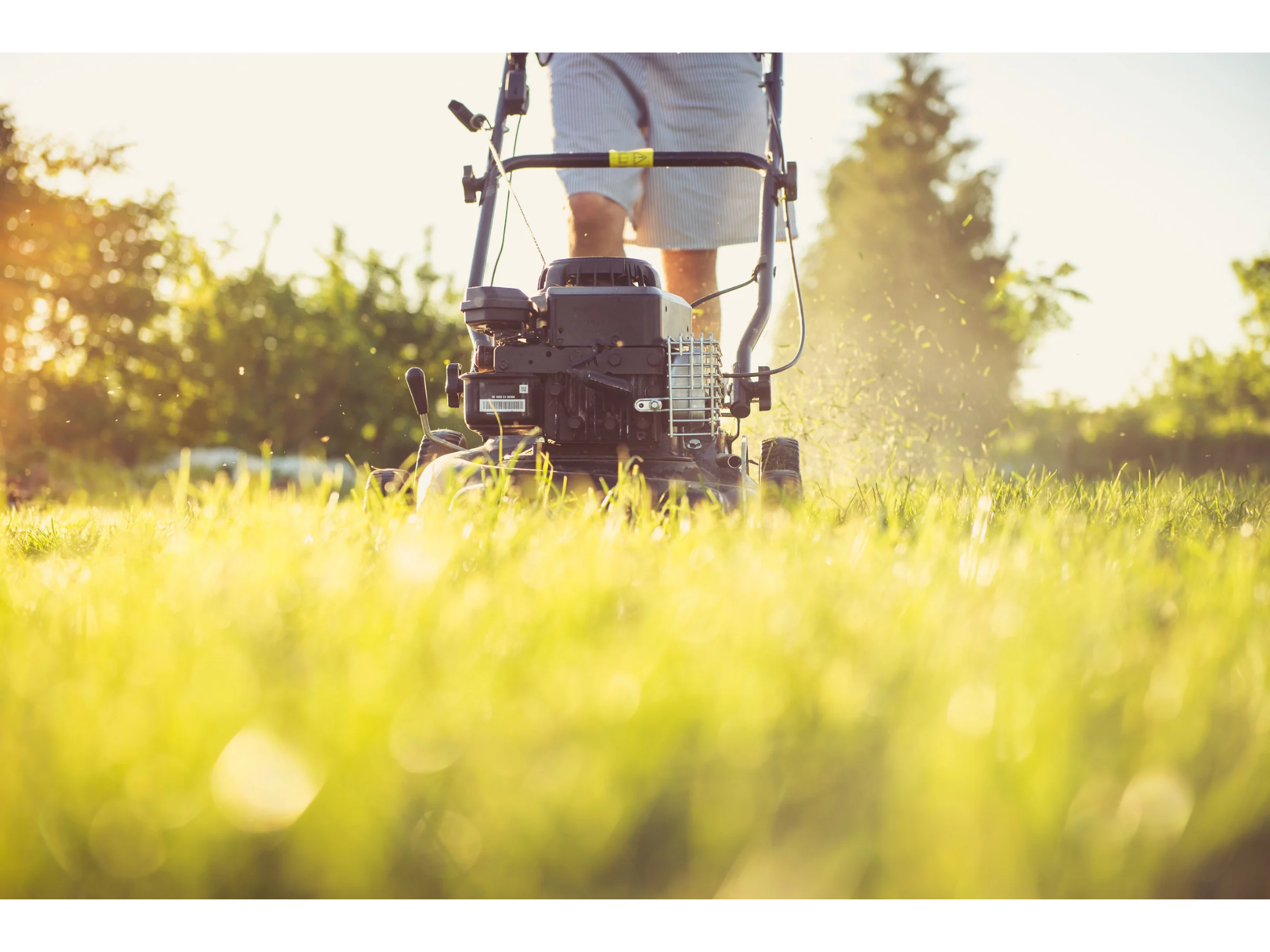 Mowing Practices for Kentucky Bluegrass