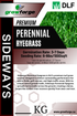Sideways - Perennial Ryegrass - 1KG - Growforge