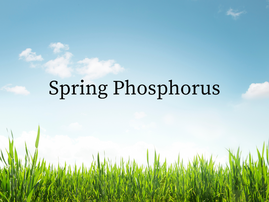 Spring Phosphorus