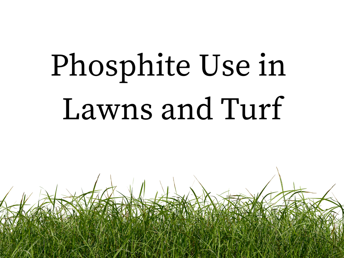 Phosphite Use in Lawns and Turf: A Powerful Tool for Promoting Health and Resilience