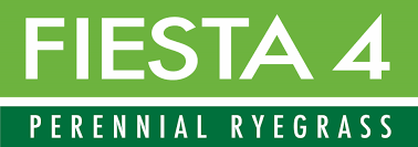 Fiesta 4 - Perennial Ryegrass - Growforge