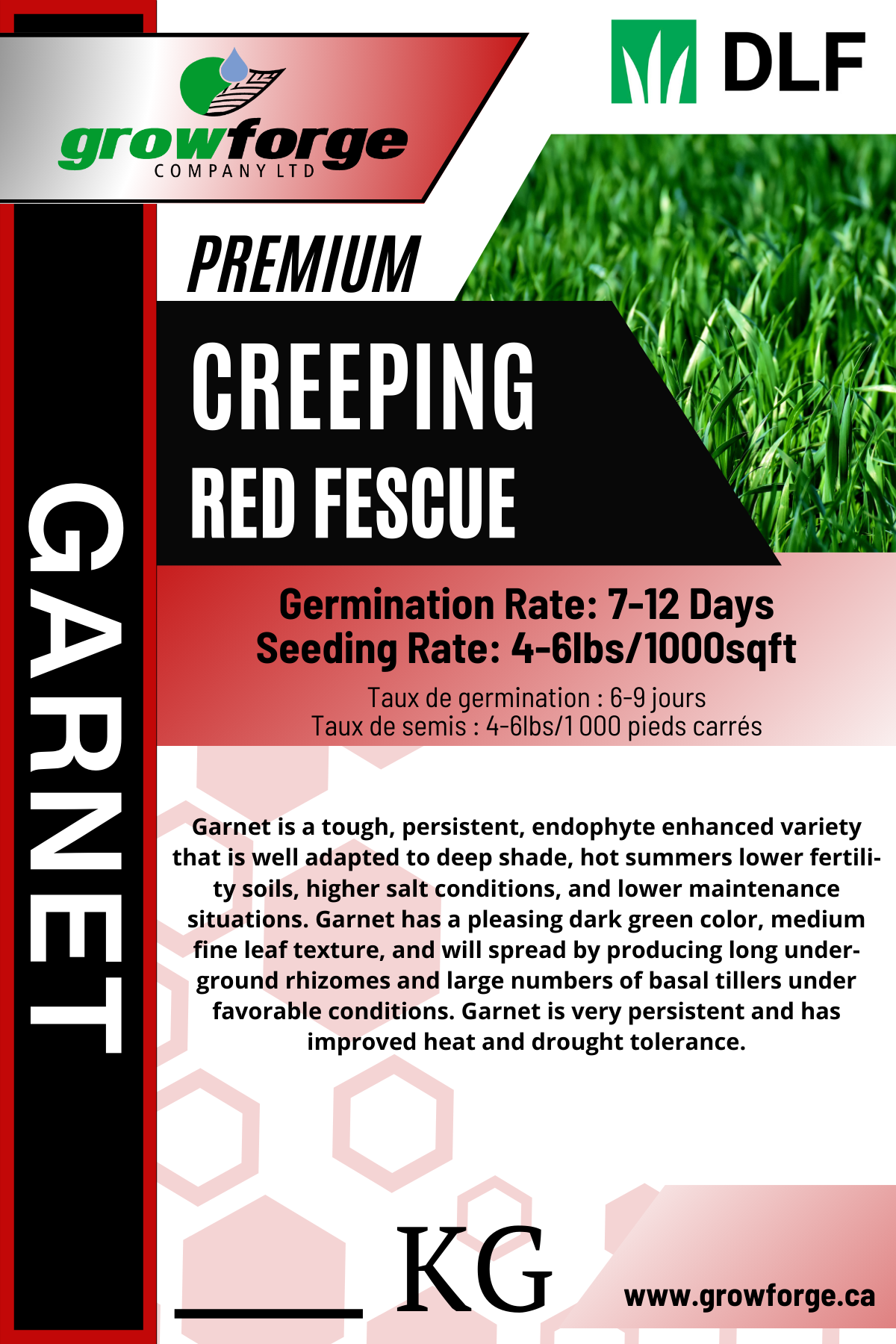 Garnet - Creeping Red Fescue 1KG - Growforge