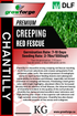 Chantilly - Creeping Red Fescue 1KG - Growforge