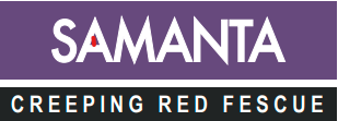 Samanta - Creeping Red Fescue 1KG - Growforge