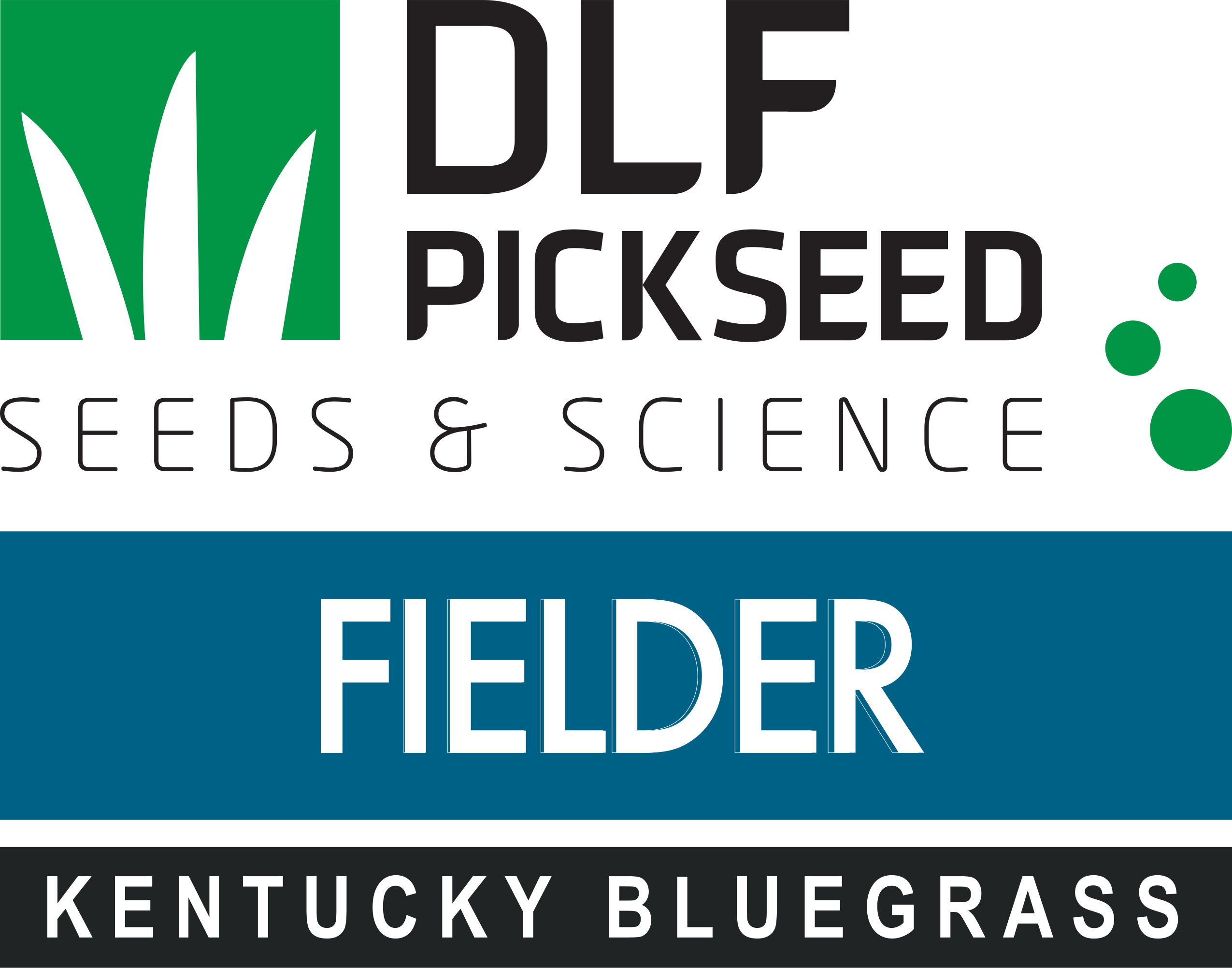 Fielder Shamrock Type - Elite Bluegrass - Growforge