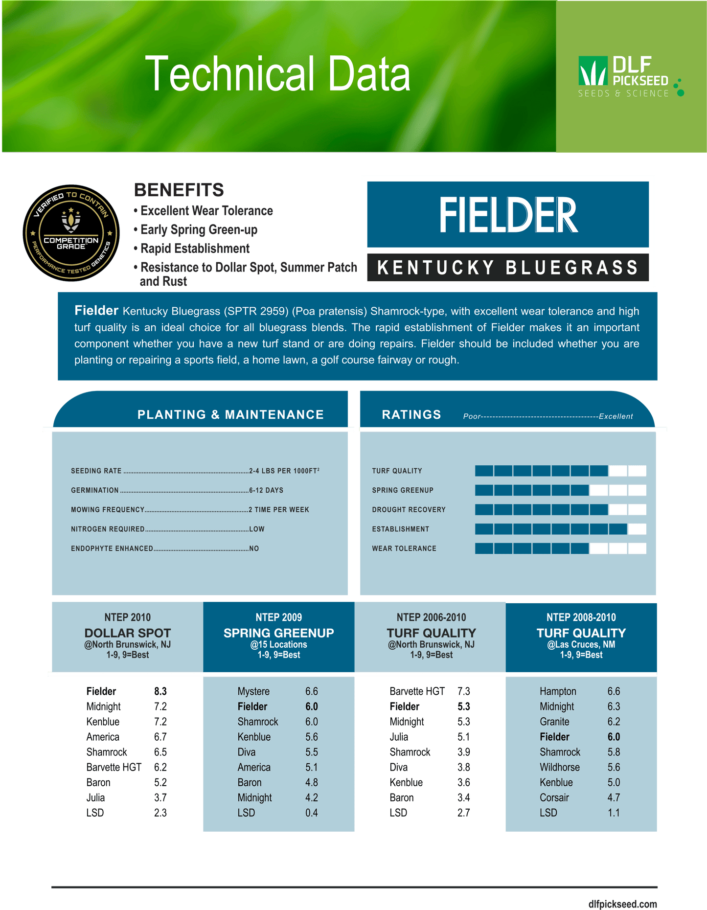 Fielder Shamrock Type - Elite Bluegrass - Growforge