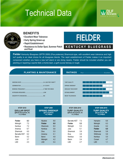 Fielder Shamrock Type - Elite Bluegrass - Growforge